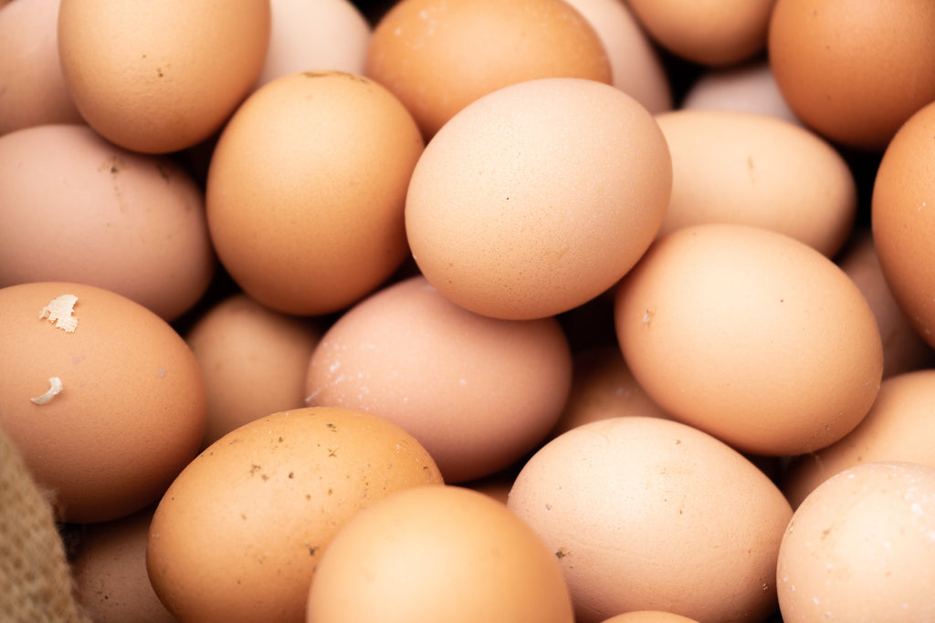 Huevos y salud mental: el poder de los nutrientes naturales para proteger tu memoria