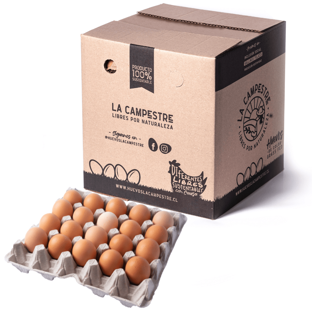 Pack 100 Huevos de Campo - Huevos La Campestre