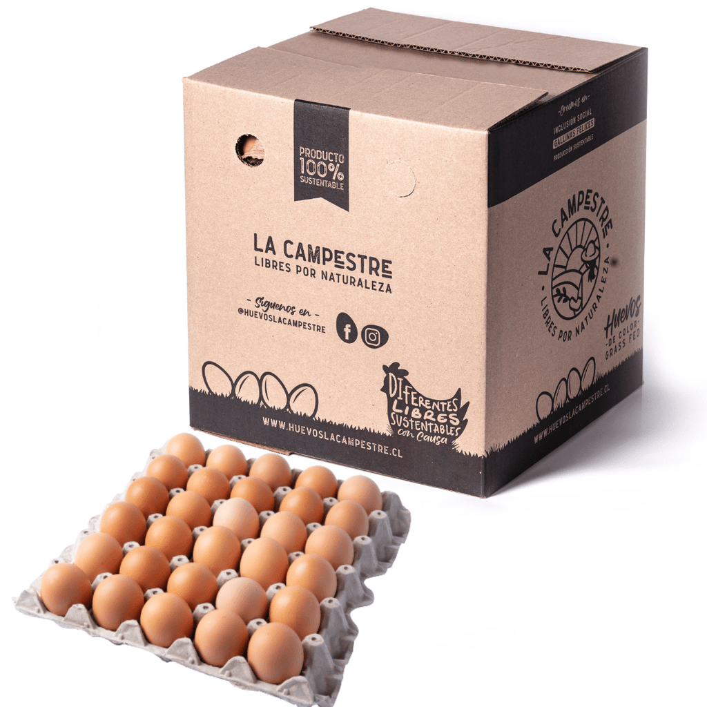 Pack 180 Huevos de Campo - Huevos La Campestre